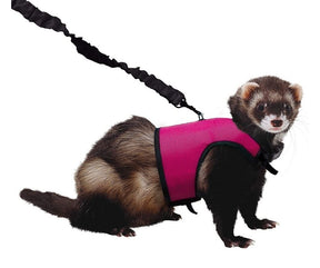 Kaytee Comfort Harness & Stretchy Leash-Southern Agriculture