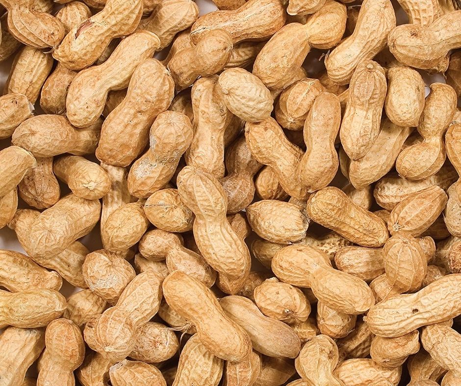 Wild Delight Inshell Peanuts-Southern Agriculture