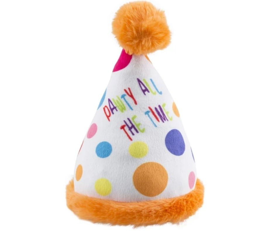 Happy Birthday Party Hat by Haute Diggity Dog-Southern Agriculture