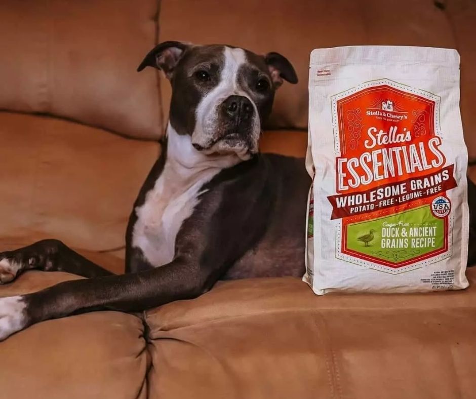 Stella & Chewy's - Stella Essentials Cage-Free Duck & Ancient Grains Recipe Dry Dog Food-Southern Agriculture