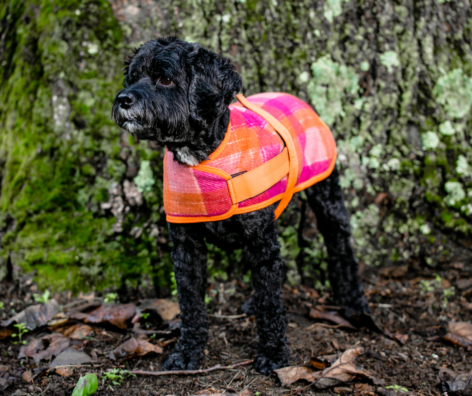 Allure by Huggle Hounds. Jackets for Dogs - Pink and Orange Plaid Print.-Southern Agriculture