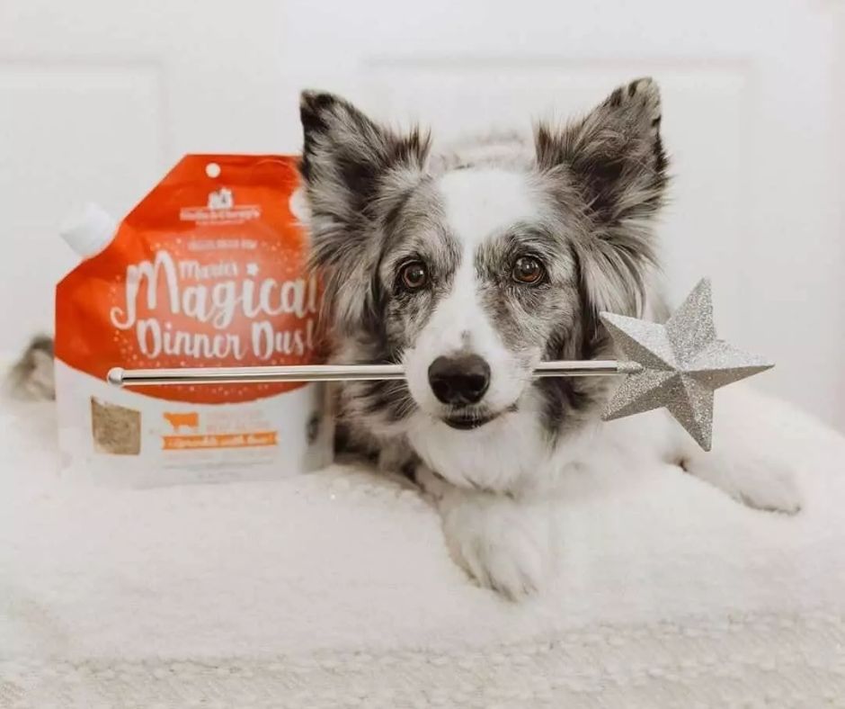 Stella & Chewy's - Marie’s Magical Dinner Dust Grass-Fed Beef. Dog Food Topper.-Southern Agriculture