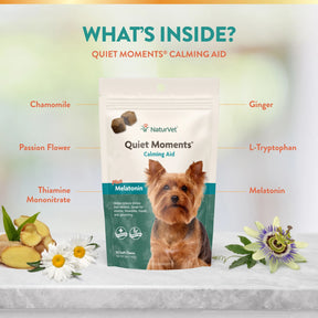 Quiet Moments Calming Aid Soft Chews