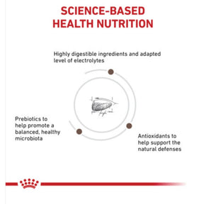 Royal Canin Veterinarian Diet - Gastrointestinal Kitten Dry