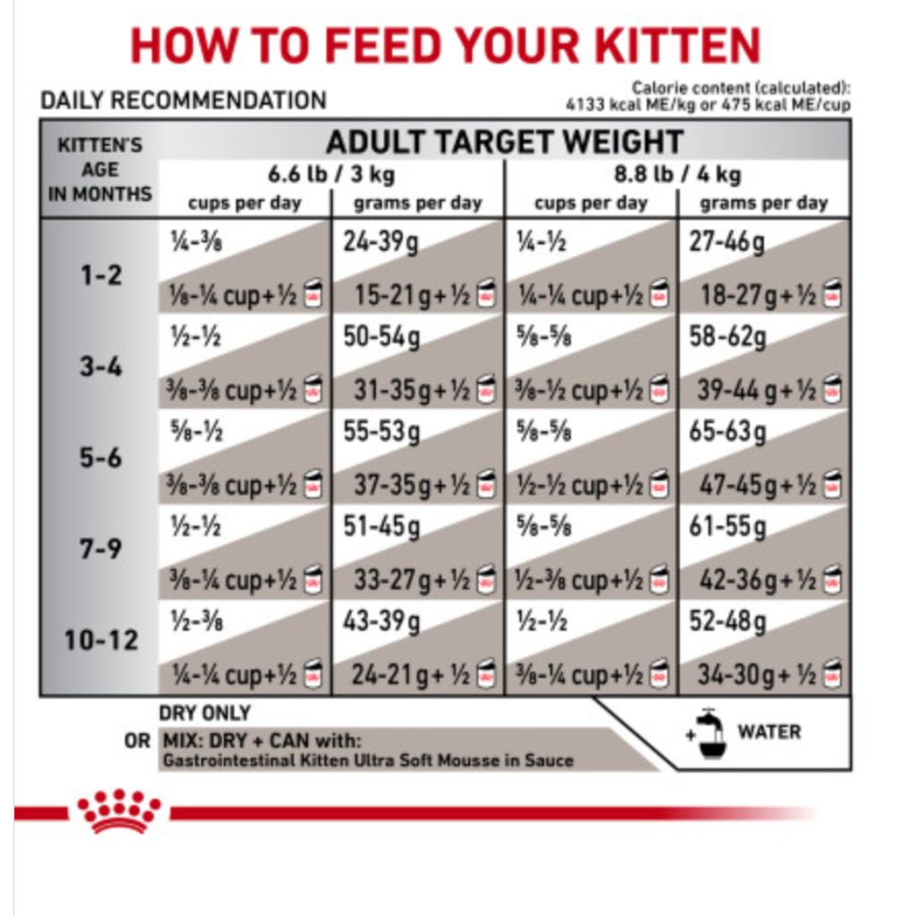 Royal Canin Veterinarian Diet - Gastrointestinal Kitten Dry