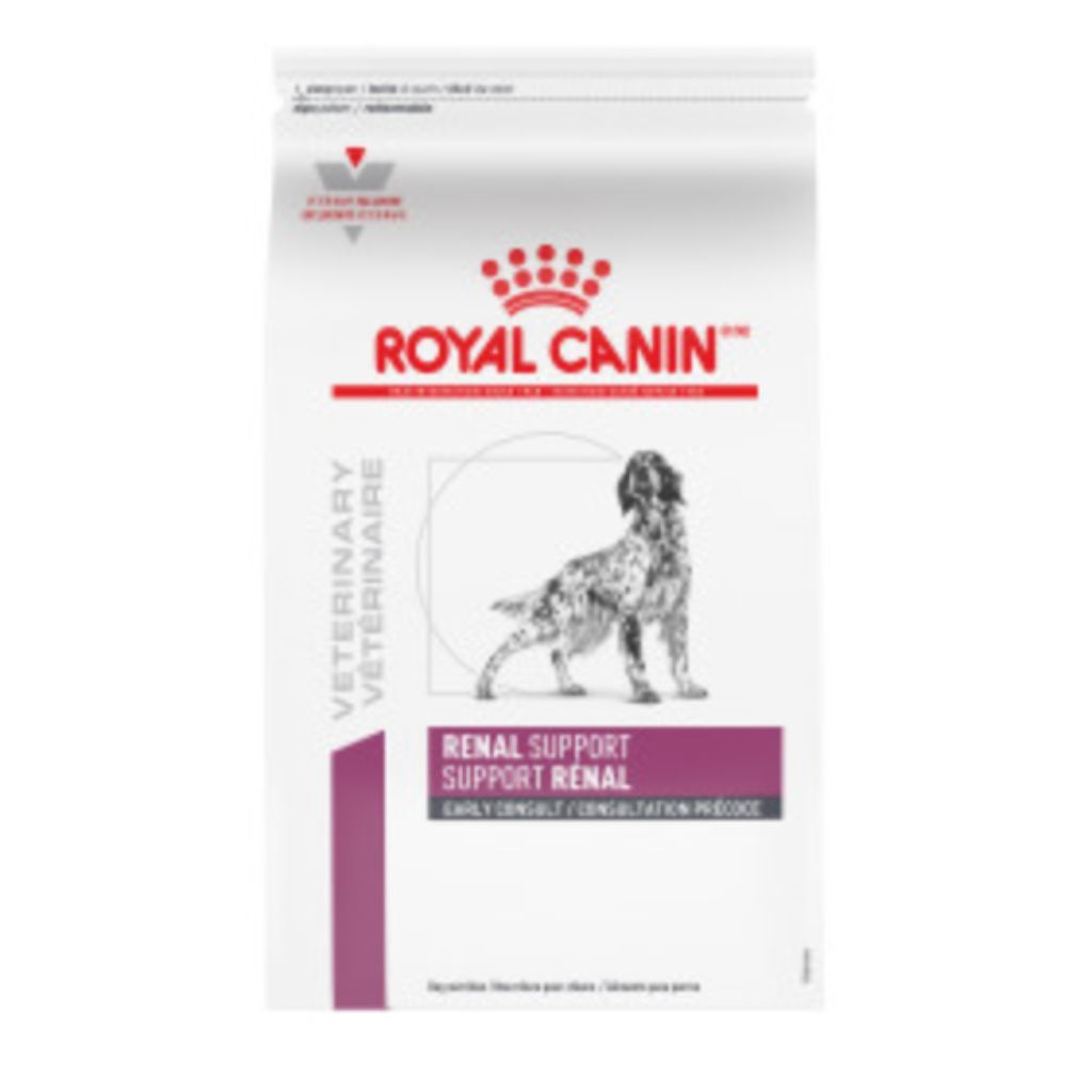 Renal Support Early Consult Dry Dog