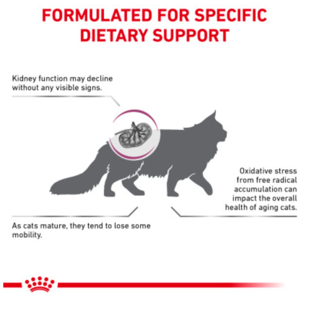 Renal Support Early Consult Dry Cat Food