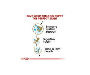 Royal Canin - Bulldog Puppy Dry Dog Food-Southern Agriculture