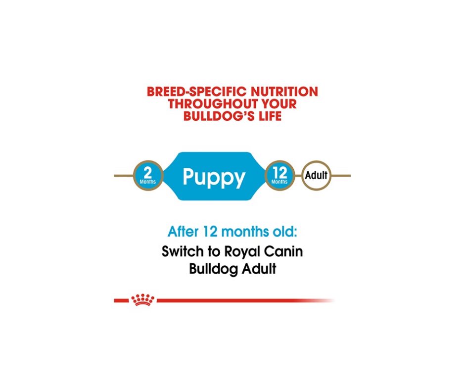 Royal Canin - Bulldog Puppy Dry Dog Food-Southern Agriculture