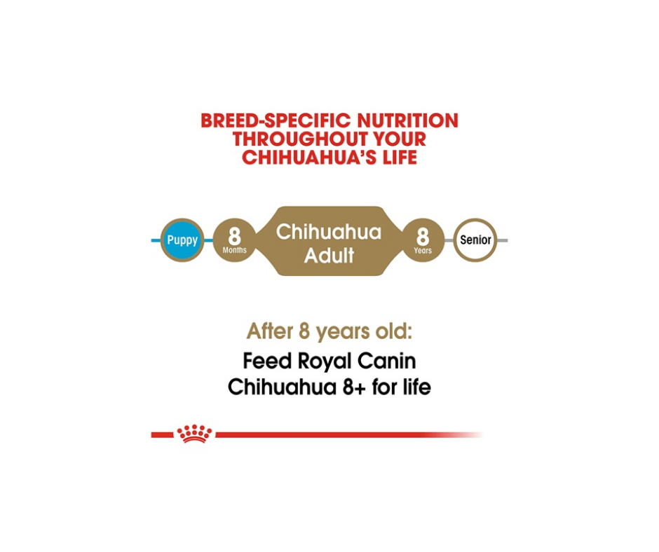 Royal Canin - Adult Chihuahua Dry Dog Food-Southern Agriculture