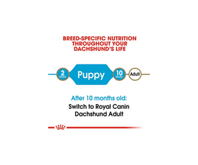 Royal Canin - Dachshund Puppy Dry Dog Food-Southern Agriculture