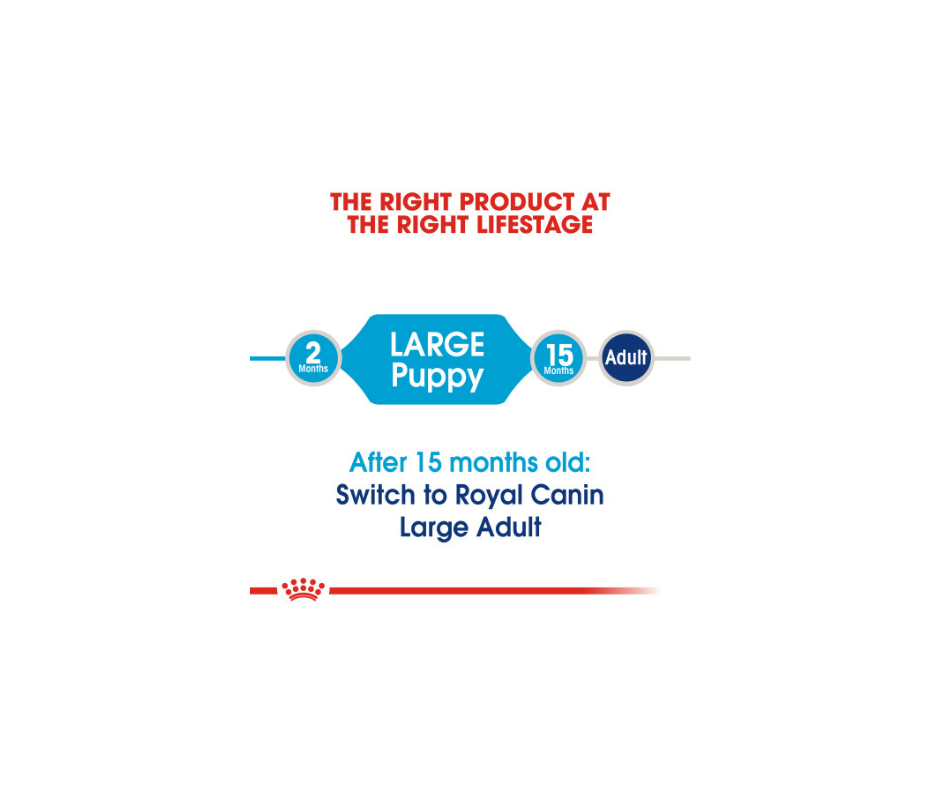 Royal Canin - Large Breed, Puppy Dry Dog Food-Southern Agriculture