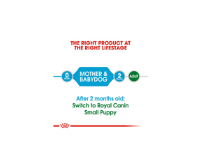 Royal Canin - Starter Formula, Small Breed Mother And Babydog Dry Dog Food-Southern Agriculture