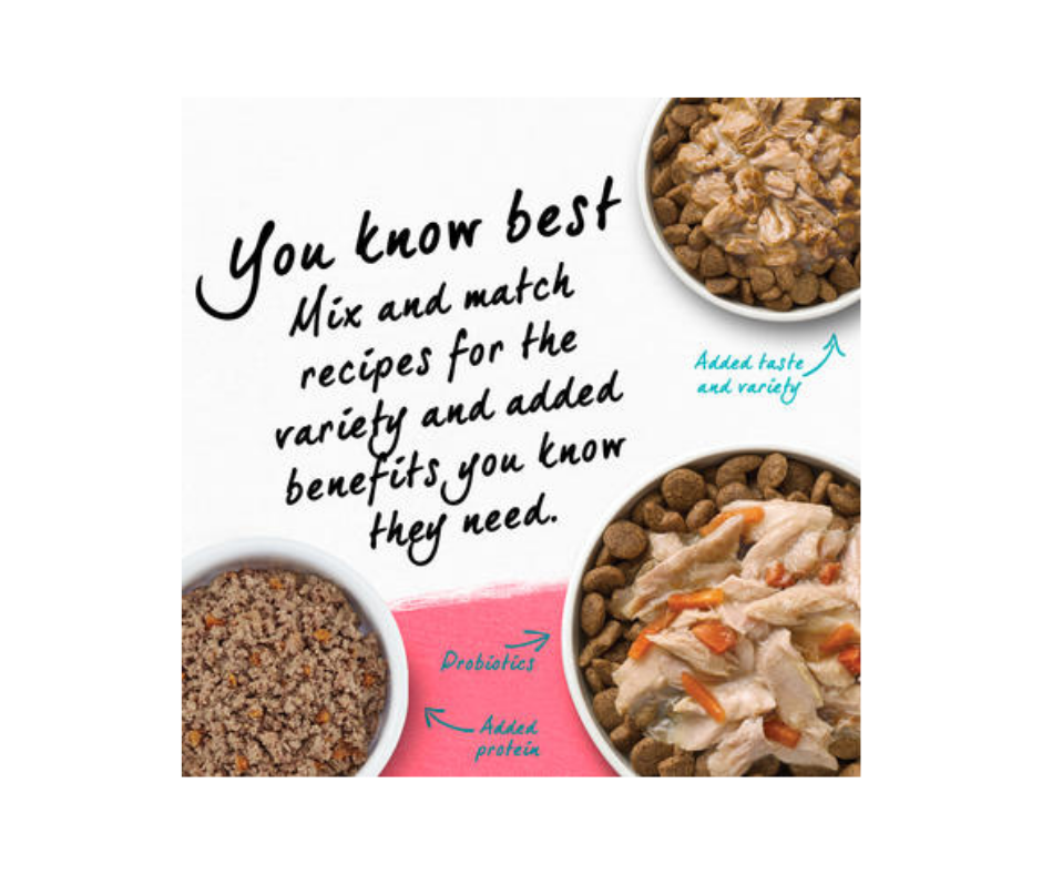 Purina Beyond - All Breeds, Adult Dog Superfood Blend Salmon, Egg & Pumpkin Recipe Dry Dog Food-Southern Agriculture