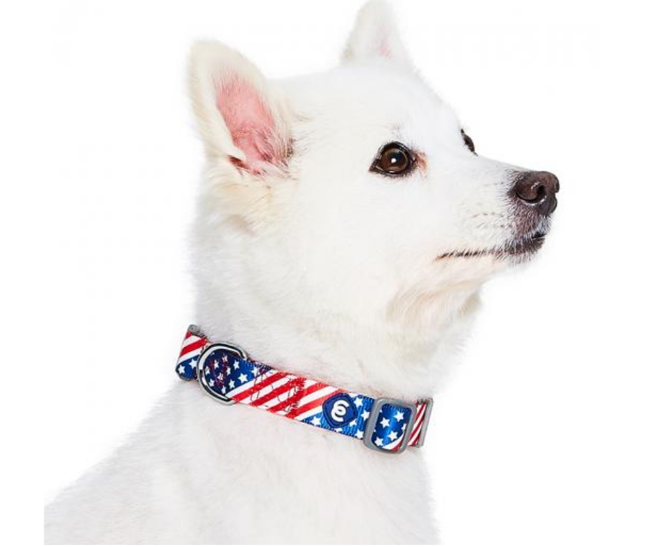 American Flag Dog Collar by Blueberry Pet-Southern Agriculture