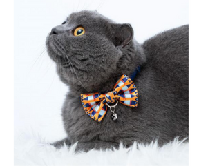 Blueberry Timeless Cat Collar Blue with Fish Print Bowtie-Southern Agriculture