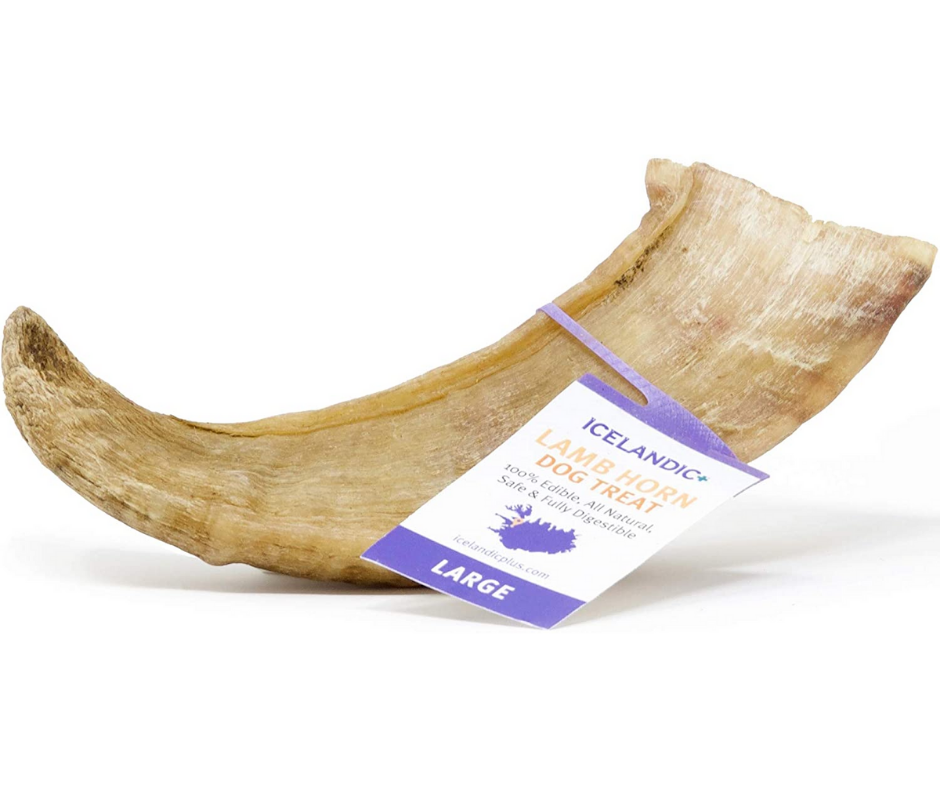 Icelandic+ - Lamb Horn Chew. Dog Treat.-Southern Agriculture