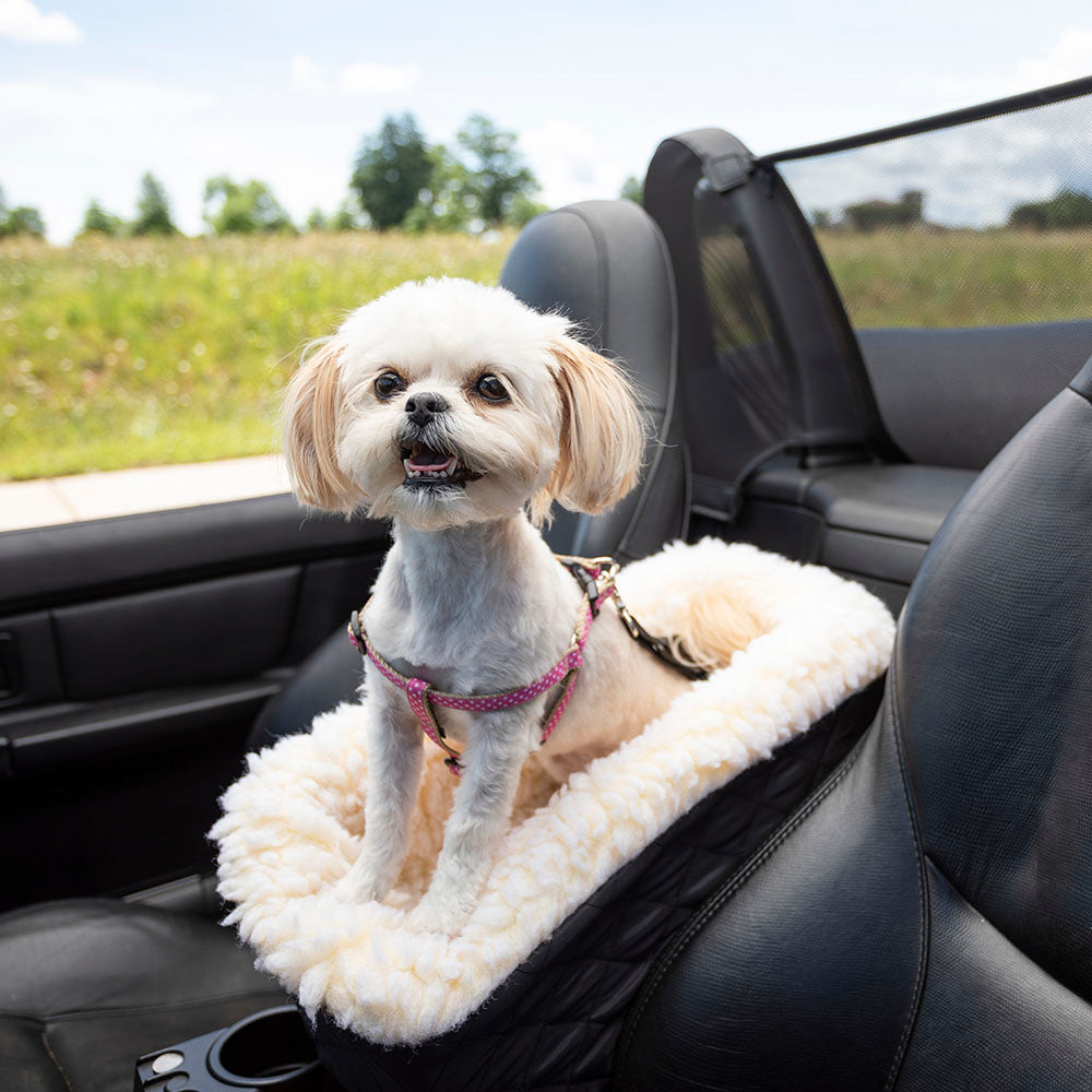 Carseat Console Lookout Small