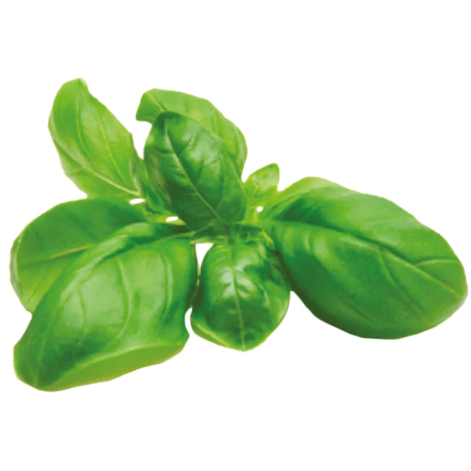 Sprigbox Basil Grow Kit