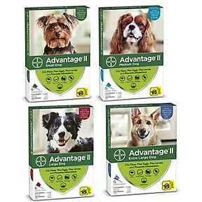 Advatage ll 6-pack - Southern Agriculture