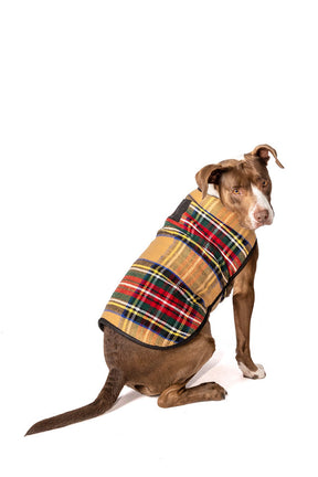 Chilly Dog - Dog Blanket Coat Tan Tartan