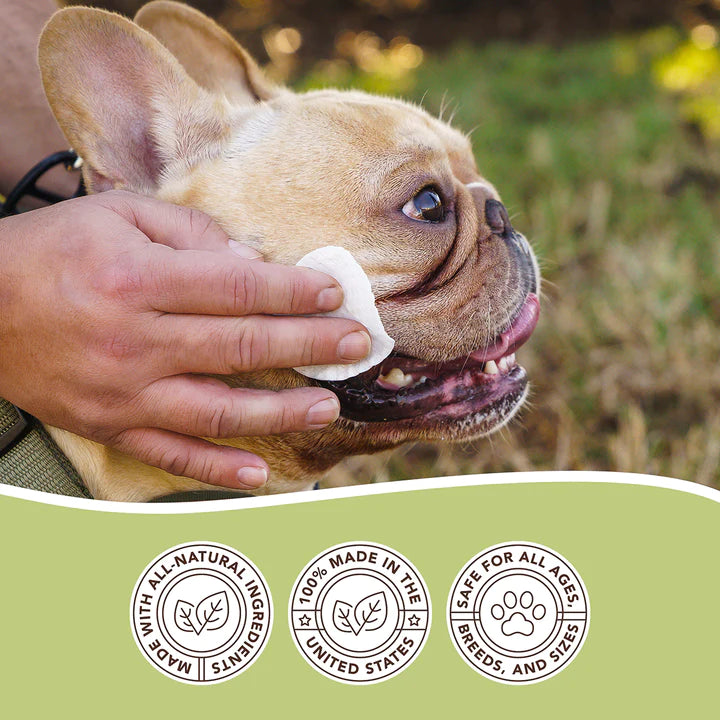 Natural Dog Company - Wrinkle Wipes Jar