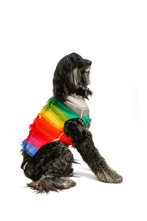 Dog Sweater Rainbow Mohawk