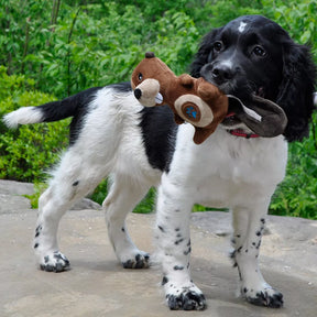 Li'l Pals Paw Plush Dog Toys