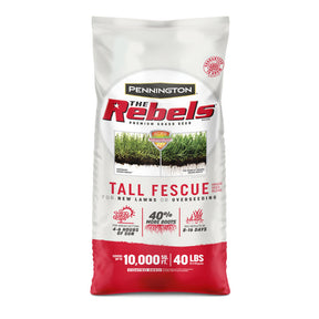 Grass Seed Rebel Tall Fescue