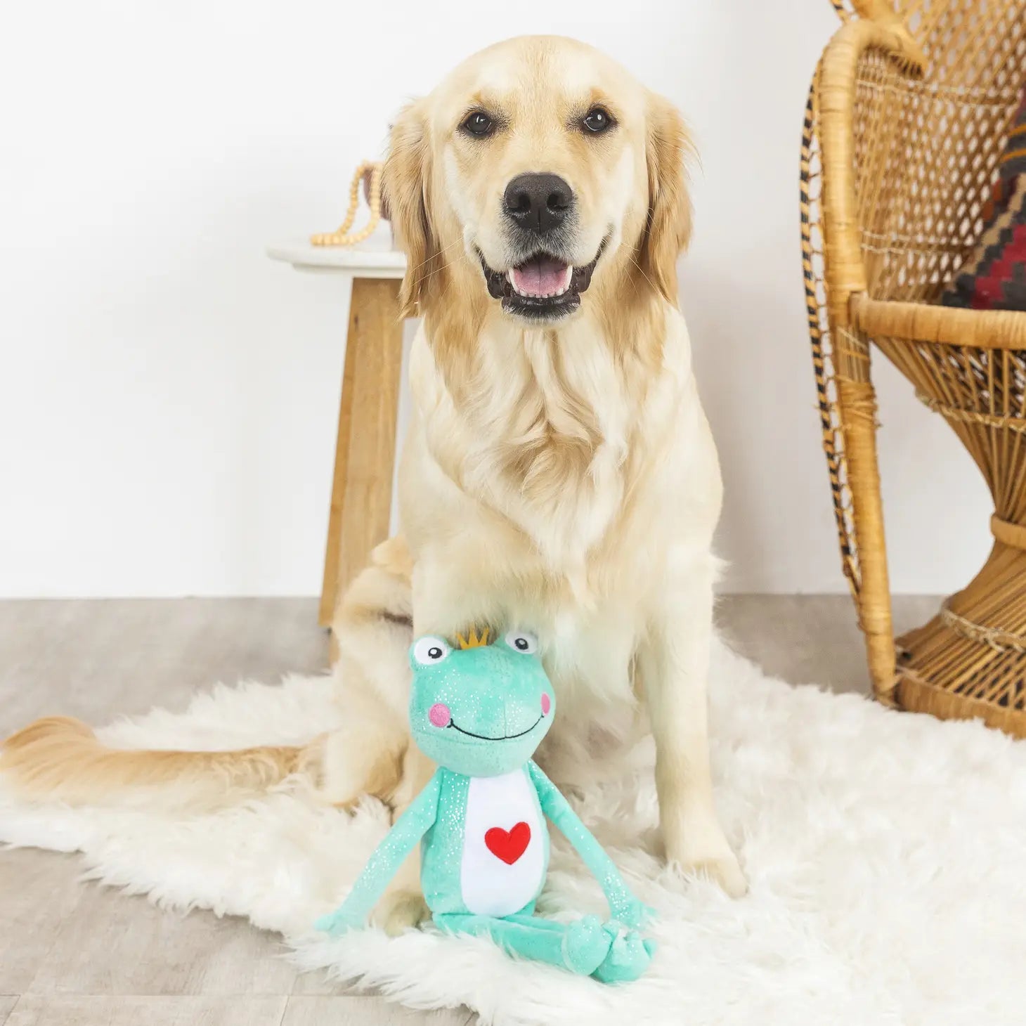 Petshop by Fringe Studio - Prince Charming Dog Toy