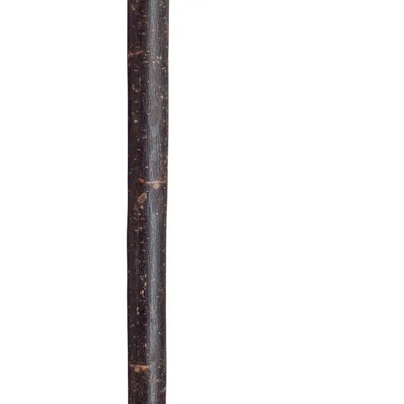 Mountain cane made of natural chestnut with bark