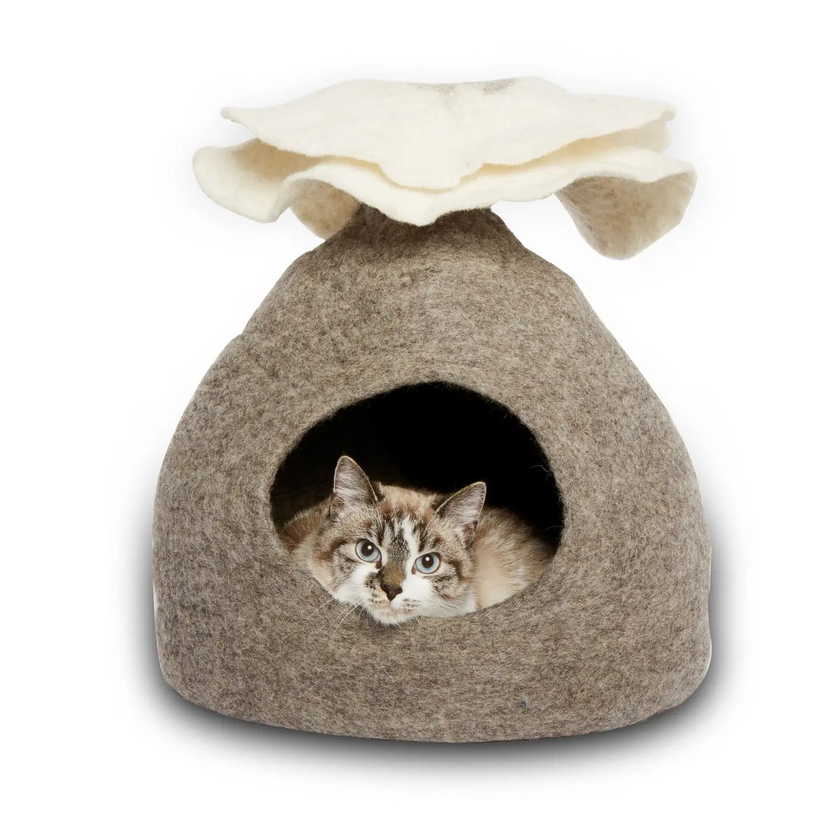 Pet Cave Bouquet Wool