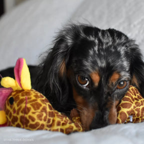 Li'l Pals Plush Crinkle Dog Toy