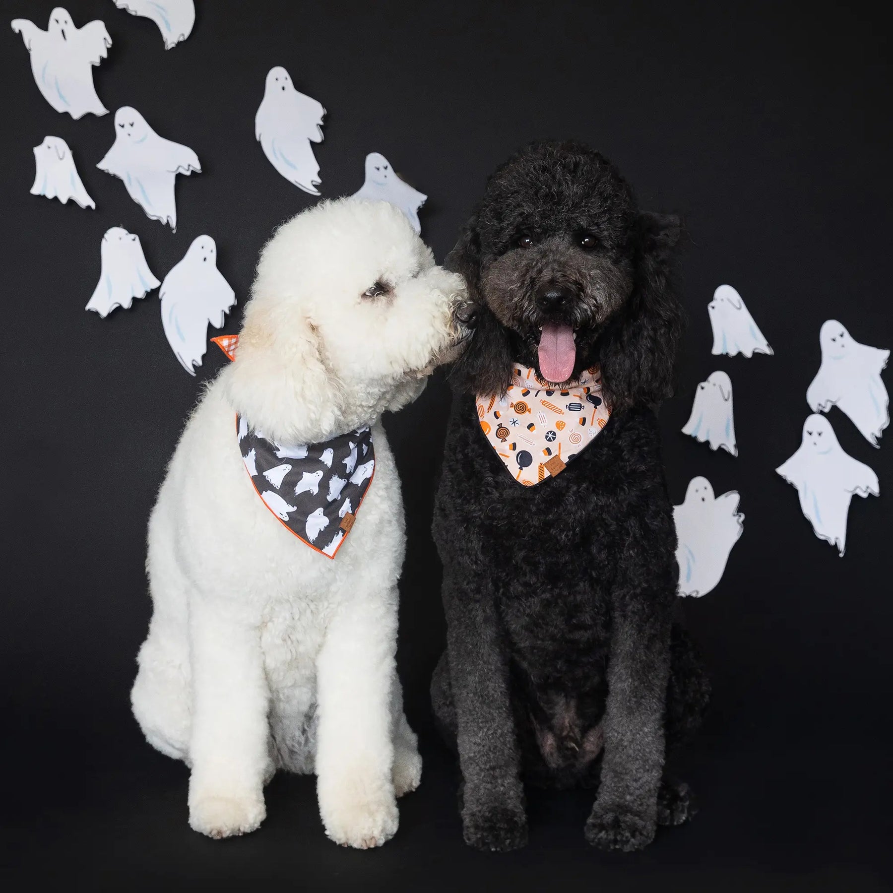 Bandana Tricks for Treats (Reversible)