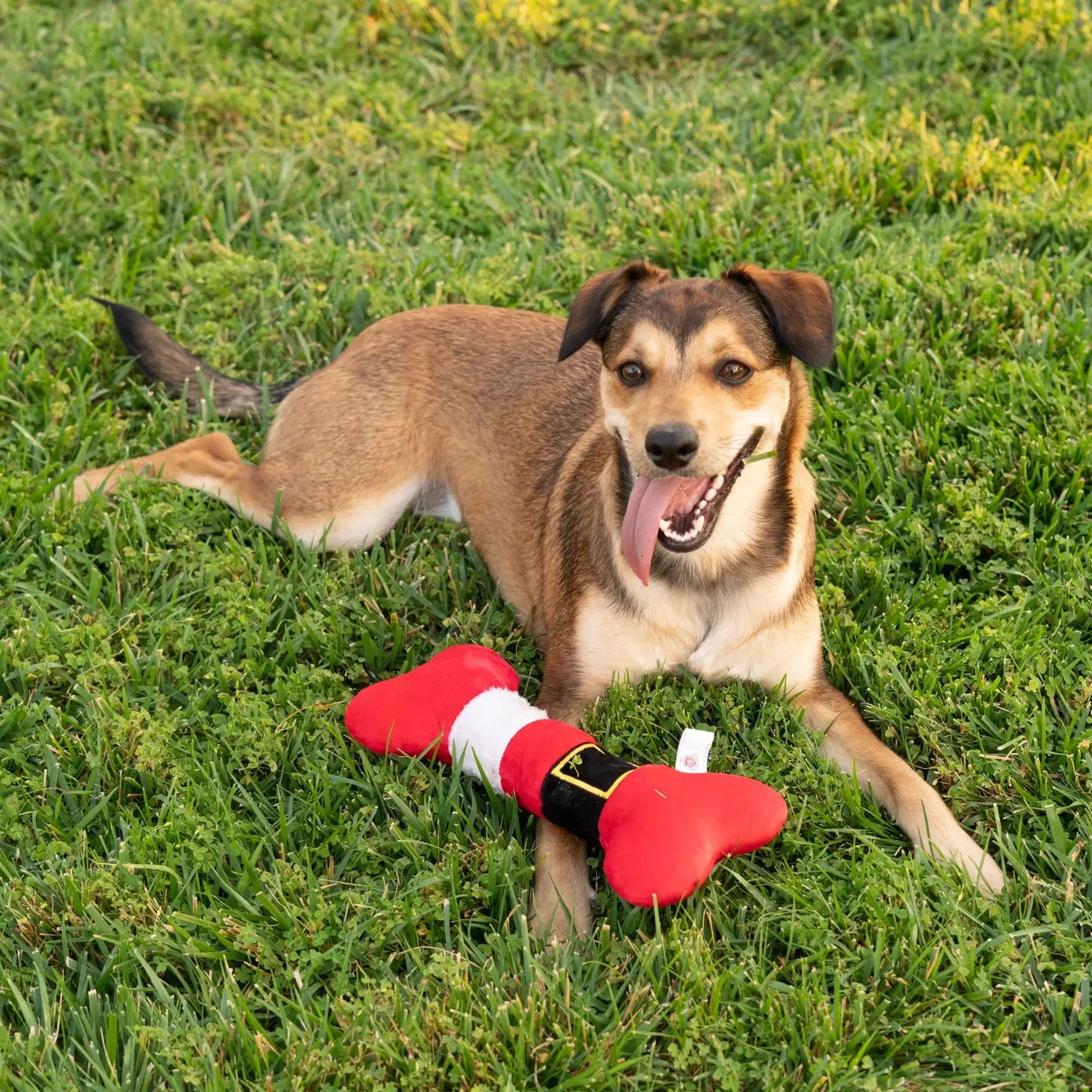 Huxley & Kent - Lulubelles Santa Suit Bone Power Plush