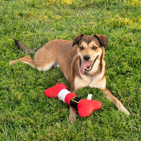 Huxley & Kent - Lulubelles Santa Suit Bone Power Plush