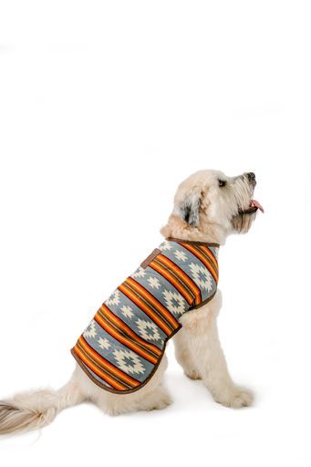 Chilly Dog - Dog Coat Denim Sunset