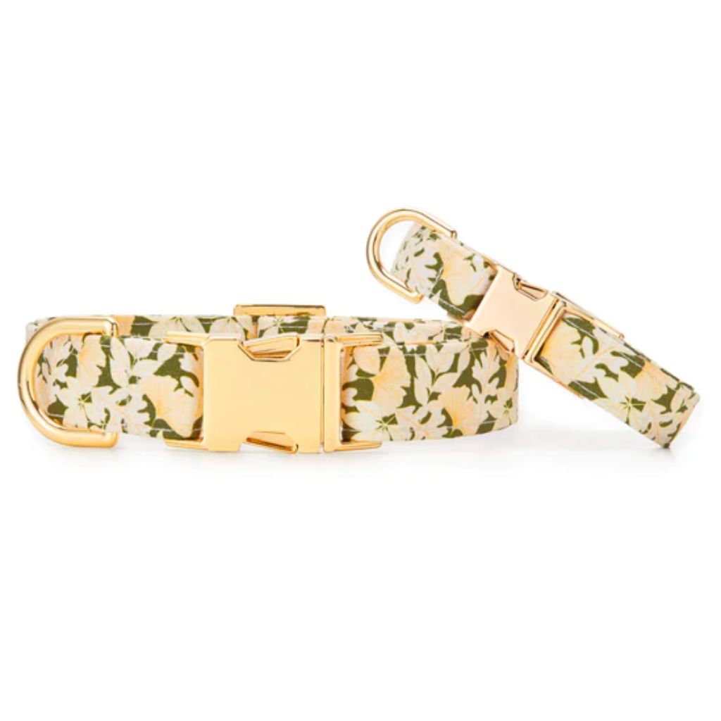 Dog Collar Autumn Leaves