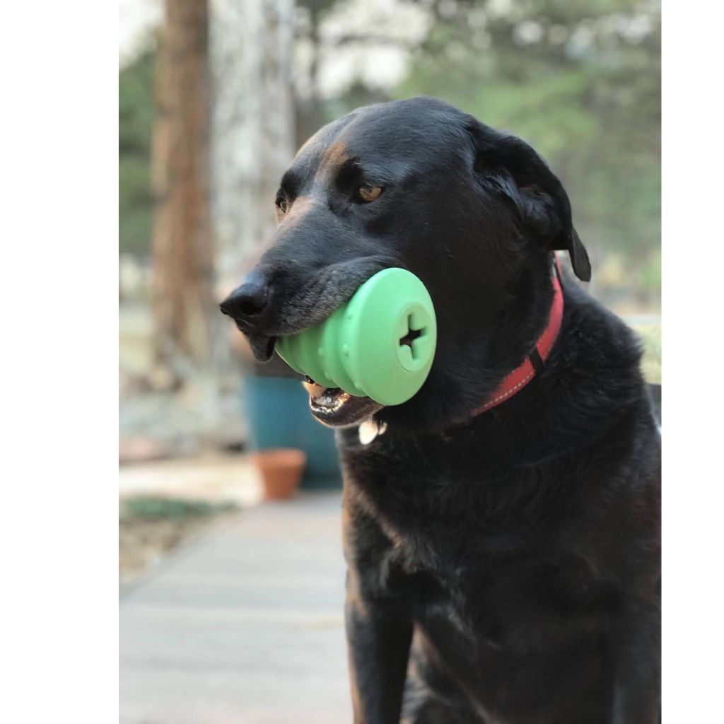 Christmas Tree Treat Dispenser & Dog Chew Toy