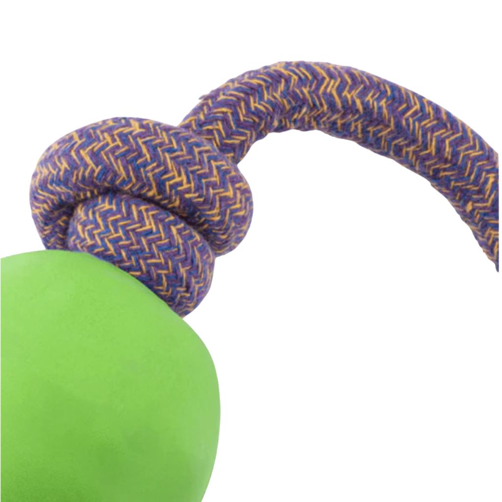 Beco - Ball On A Rope