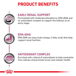 Renal Support Early Consult Dry Dog