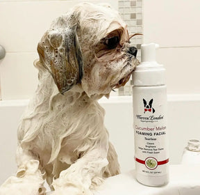 Warren London - Shampoo Tearless for Dog's Face Cucumber Melon