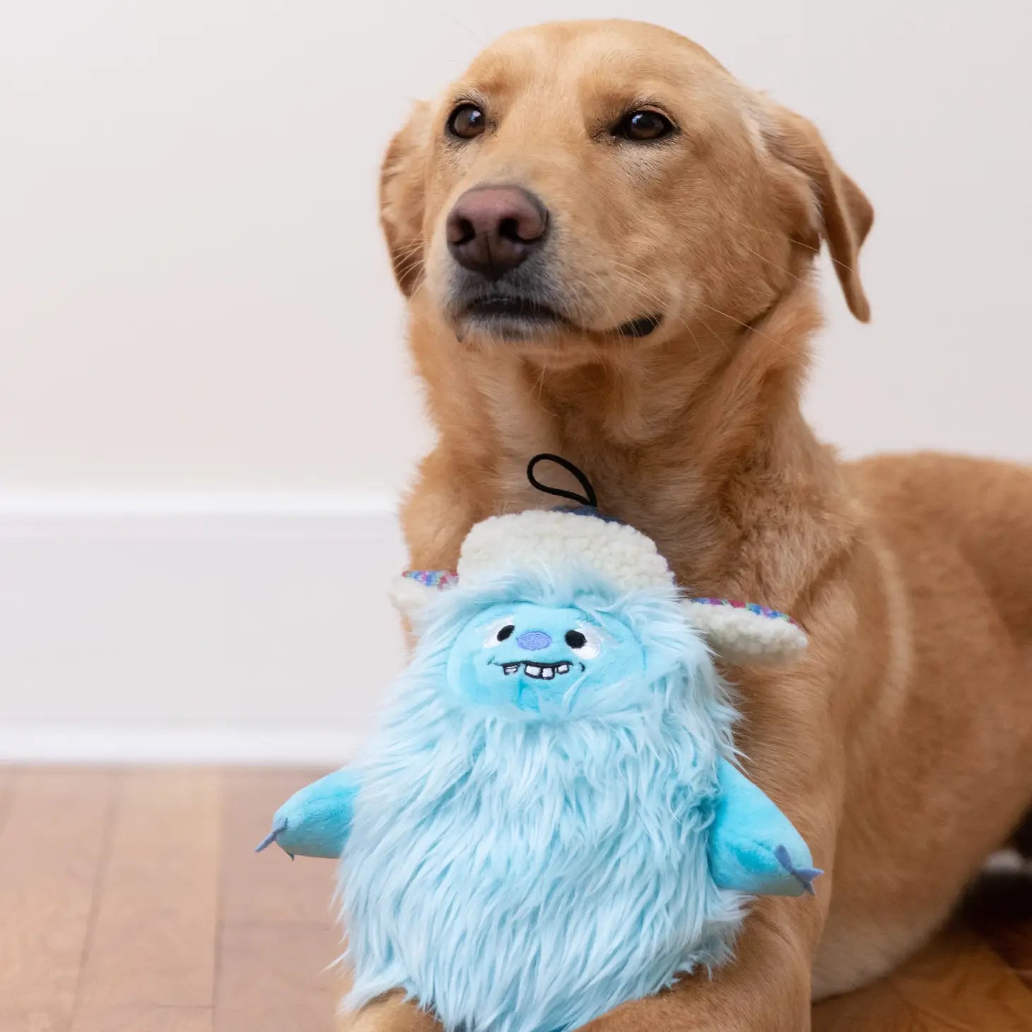 Huxley & Kent - Lulubelles Power Everest Yeti Shaggy Blue w Hat Plush