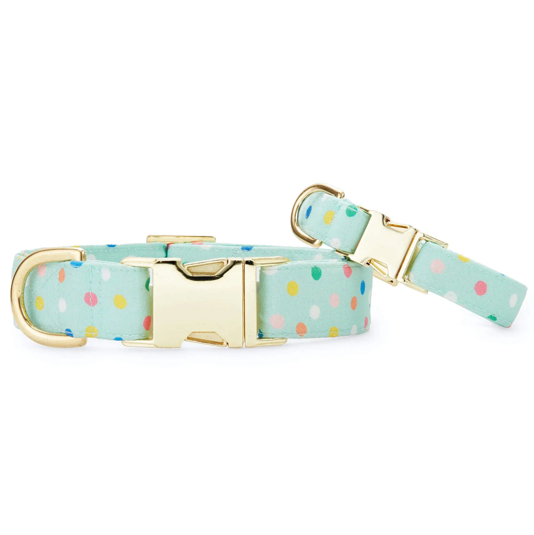 Dog Collar Confetti