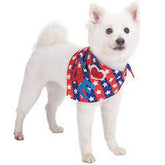 'Love' Dog Bandana - Southern Agriculture