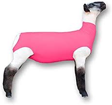 ShowPro Lamb Tube Spandex