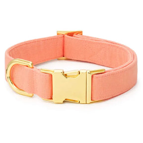 Dog Collar Mango Spring