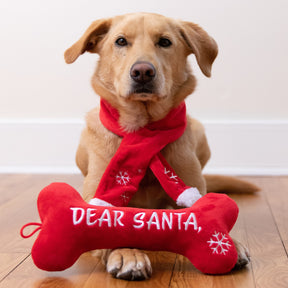 Huxley & Kent - Lulubelles Dear Santa Bone