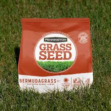 Pennington Bermudagrass - Southern Agriculture