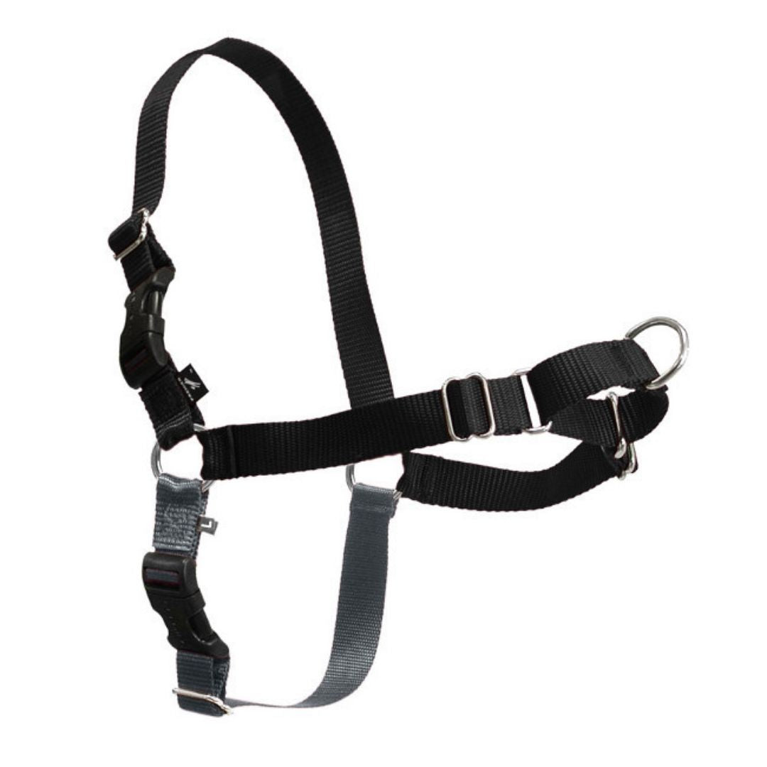 Easy Walk Gently Leading Harness for Dogs-Southern Agriculture